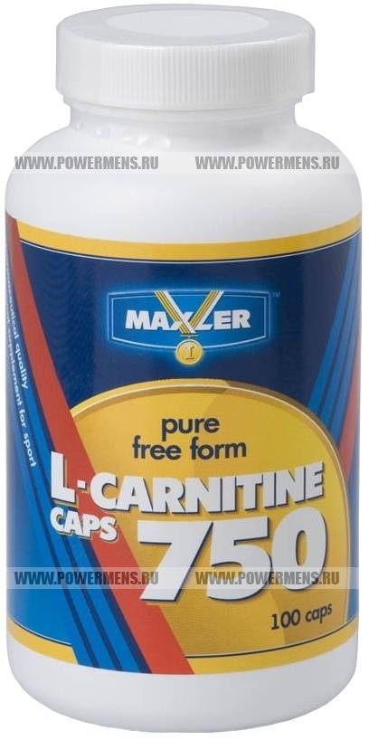 Acetyl l-carnitine от maxler: отзывы, состав и как принимать