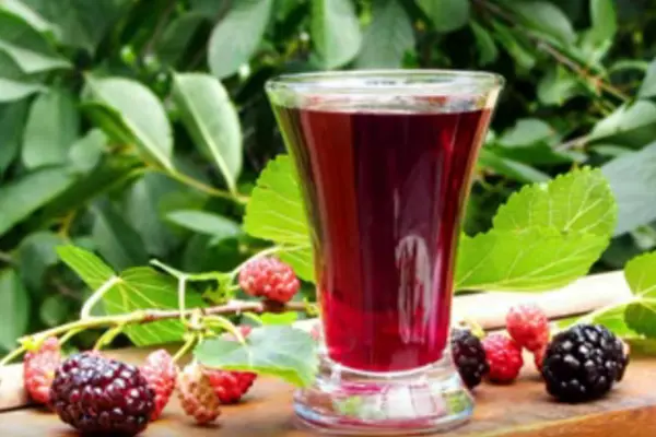 Вина и настойки из шелковицы: 5 интересных рецептов - smak.ua