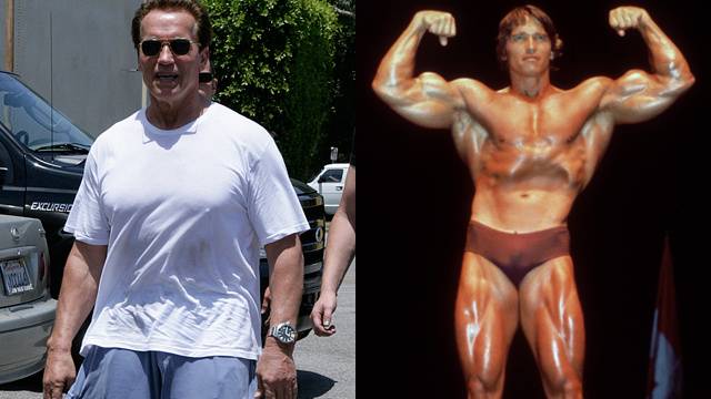 Вассерман дал отпор шварценеггеру, сравнившему трампа с гитлером | новости