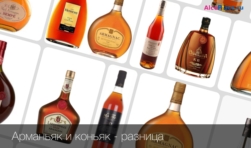 Разница между арманьяком и коньяком