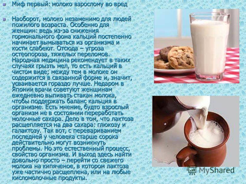 Вред молока и молочных продуктов: научная статья