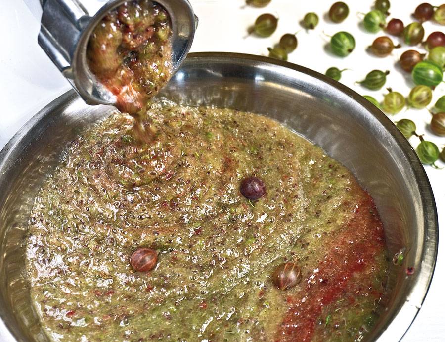 Наливки из крыжовника — изучайте с нами