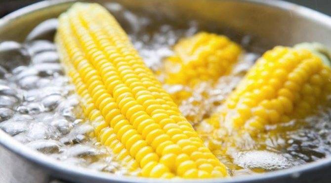 Кукуруза: польза и вред для организма человека, вареная