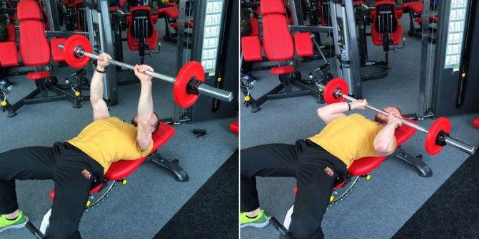 Жим ногами в тренажере: техника выполнения и виды постановки ног