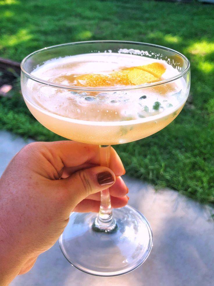 Коктейль джин физ: проверенный рецепт, секреты приготовления вкусного котейля, история напитка