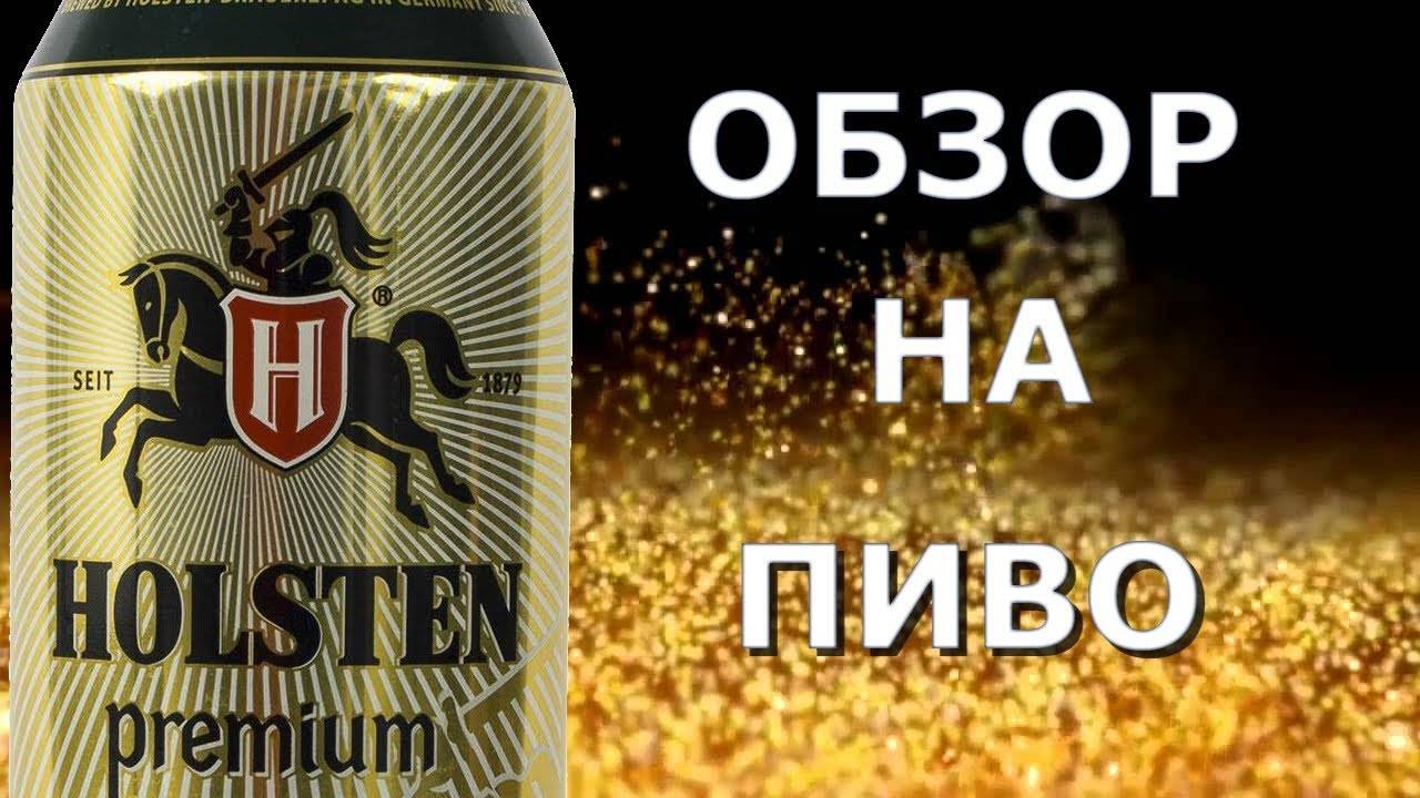 Амстел пиво: история, виды + интересные факты