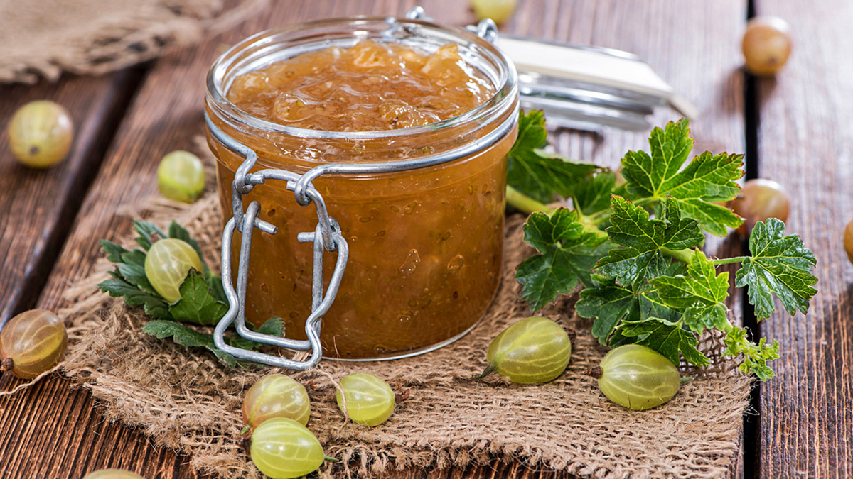 Хорош, крыжовник! делаем вкуснейшие крыжовниковые наливки и ликеры