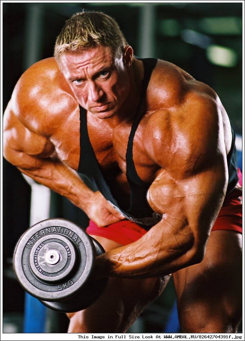 Гюнтер шлиеркамп, биография, рост и вес, программа тренировок