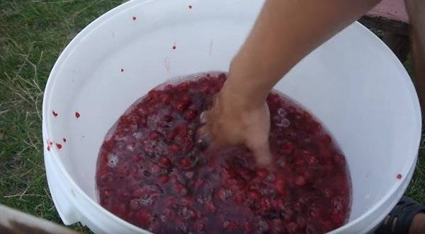 Малиновое вино