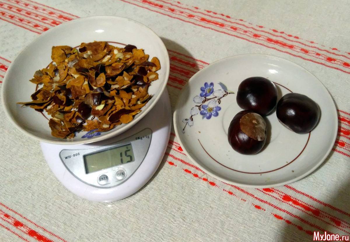 Как приготовить настойку из конского каштана