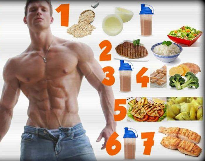 Мышцы Правильное Питание