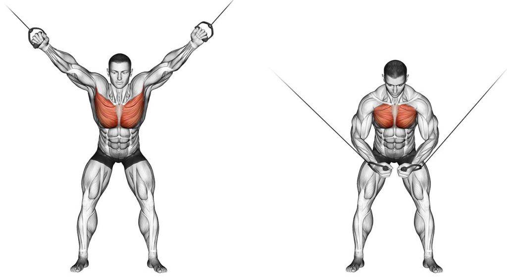 Сведение рук в кроссовере: техника выполнения, чем заменить