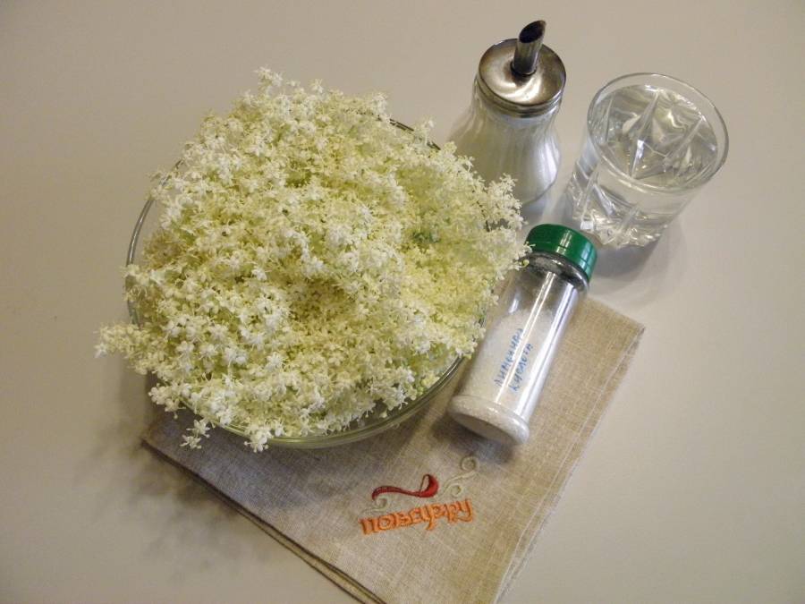 Ягоды бузины черной, лечебные и полезные свойства. сироп. лечение.