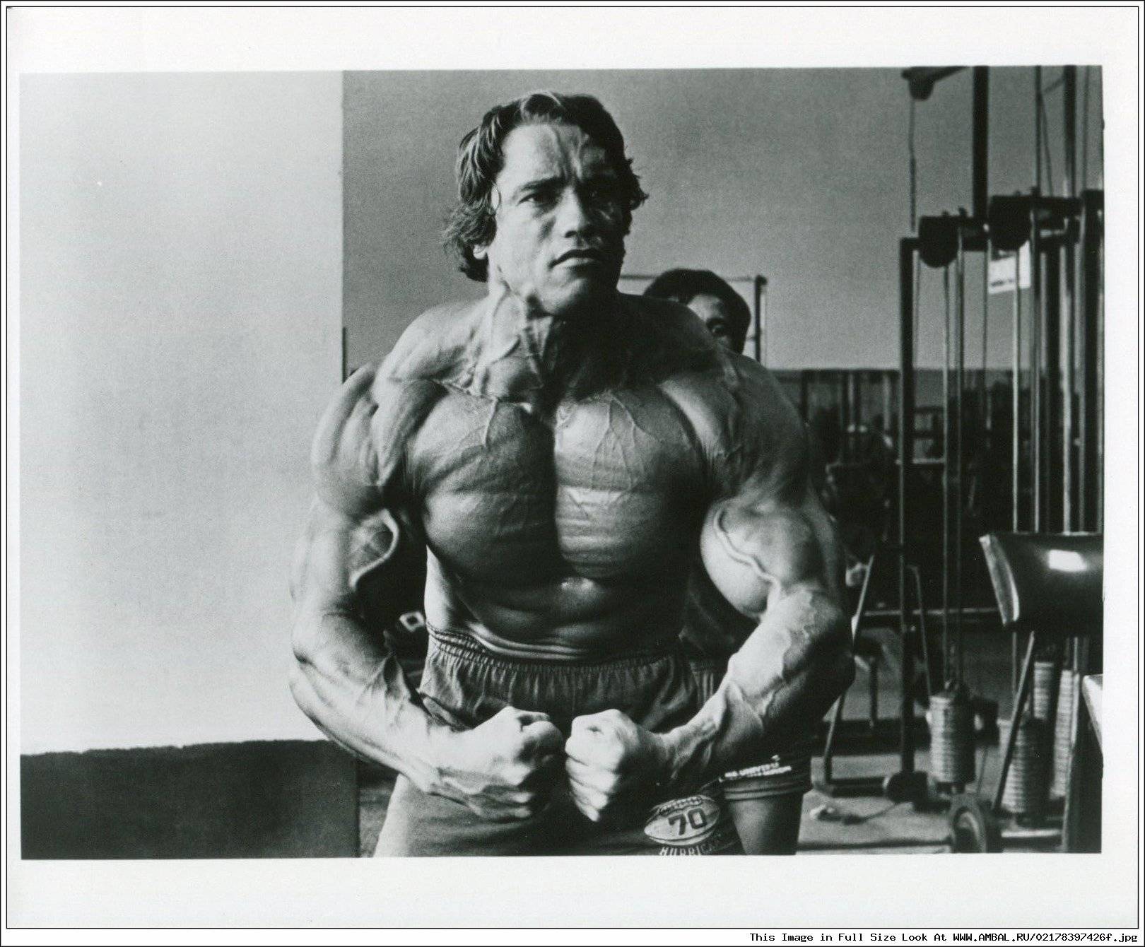 Диета арнольда шварценеггера — культуриста, опередившего время. список продуктов, одобренных арнольдом | simpleslim