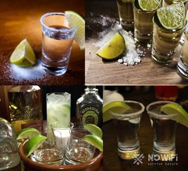 Сангрита: 4 рецепта в домашних условиях