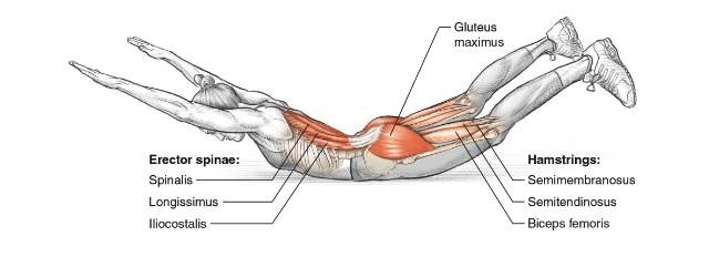 Одно из самых эффективных упражнений на ягодицы: махи ногами — 10 видов