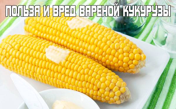 Кукуруза — кладезь витаминов: в чем польза для организма и кому нельзя её есть