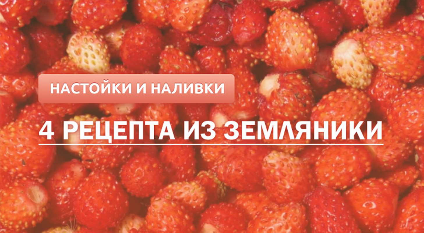 Наливка на водке — рецепты на поварёнок.ру