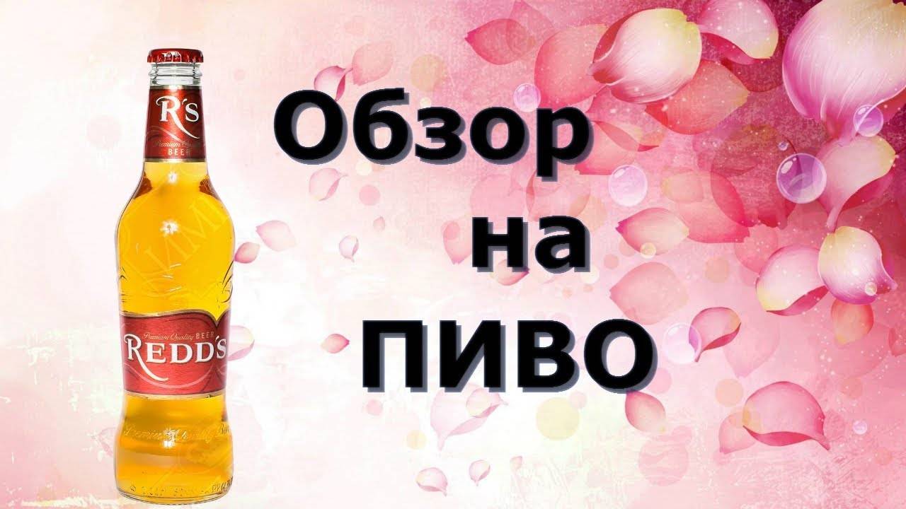 Пиво василеостровское: история + обзор видов коротко