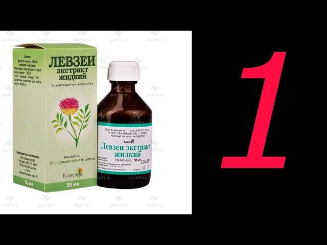 Левзея в бодибилдинге (экстракт): инструкция по применению и отзывы — life-sup.ru