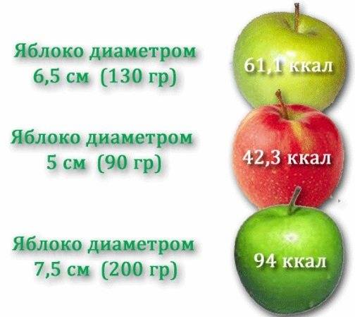 Сколько Яблок В День Можно На Диете