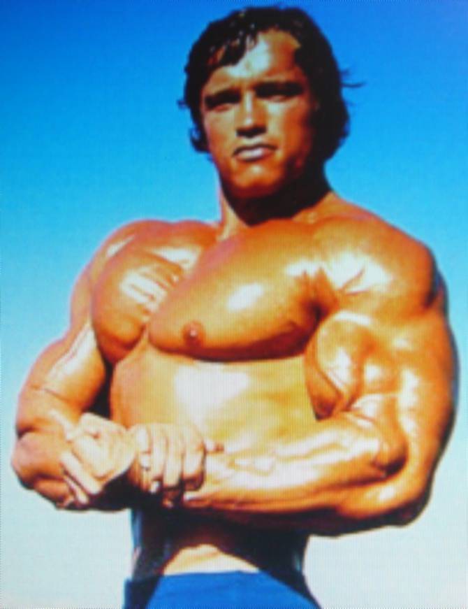 Арнольд шварценеггер — твой личный ментор: правила жизни и цитаты