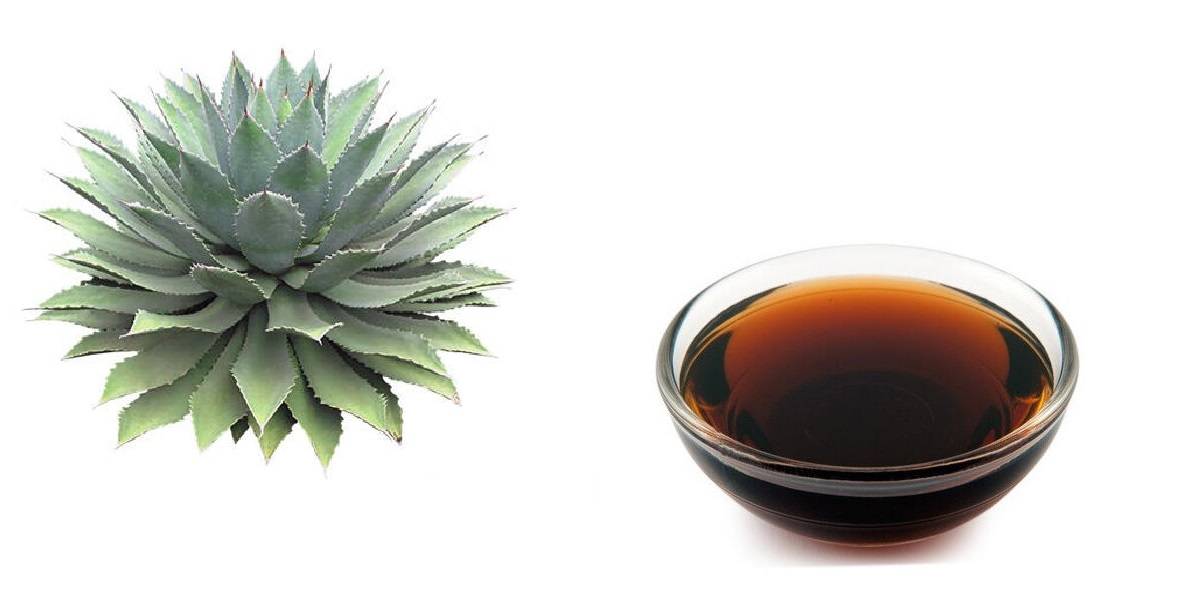 Сироп агавы — ингредиенты, пошаговое описание приготовления и рецепты с использованием сиропа (125 фото и видео)