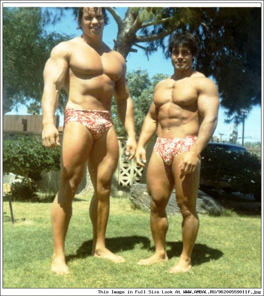 Никакого мяса и 45 минут на велосипеде: особенности здорового образа жизни арнольда шварценеггера