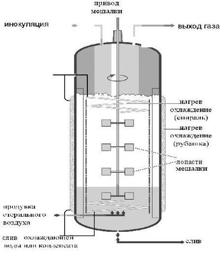 Бражная колонна: понятие, история и правильная эксплуатация