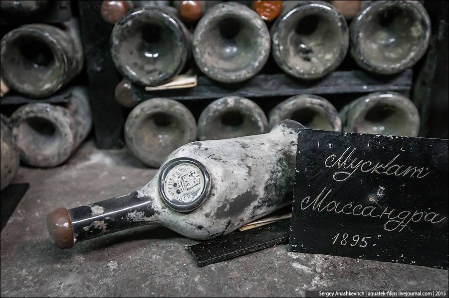 Вина болгарии: история, особенности, классификация, лучшие вина