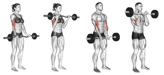 Сгибания зоттмана