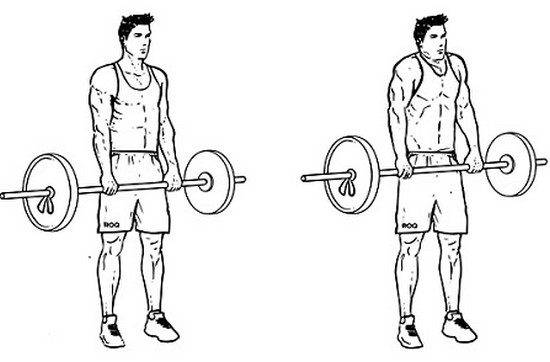 Шраги со штангой стоя