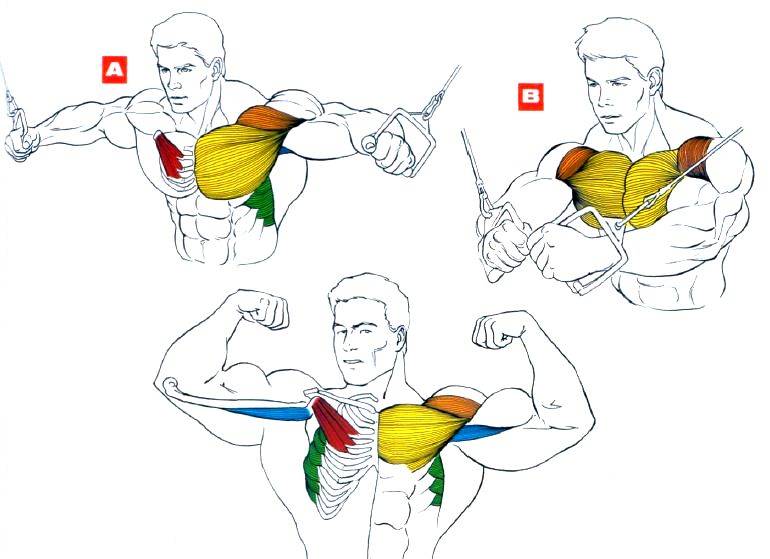 Сведение в кроссовере через верхние блоки: техника