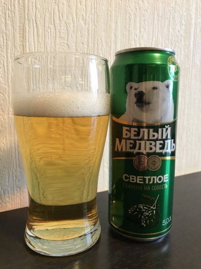 25 интересных фактов о белых медведях – zagge.ru