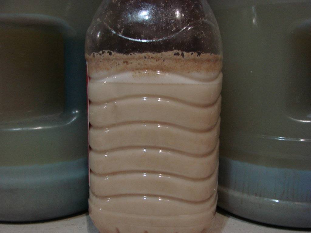 Брага на сухих дрожжах: как выбрать и поставить брагу + нюансы