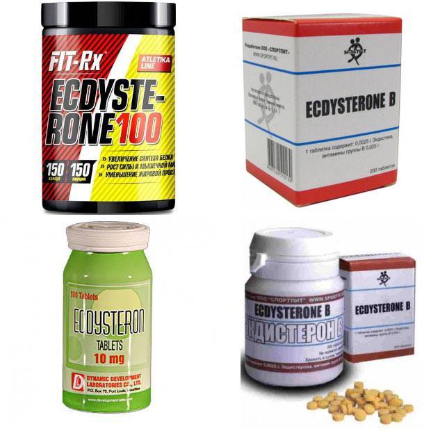 Левзея в бодибилдинге (экстракт): инструкция по применению и отзывы