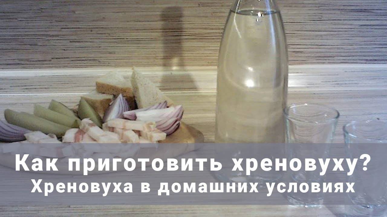 Хреновуха: рецепт из водки в домашних условиях
