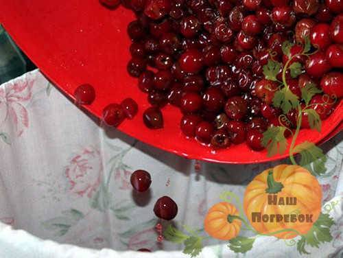 Малиновое вино: 5 рецептов в домашних условиях