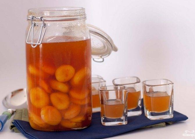 Рецепты абрикосовых наливок и настойки на абрикосах - 6 штук