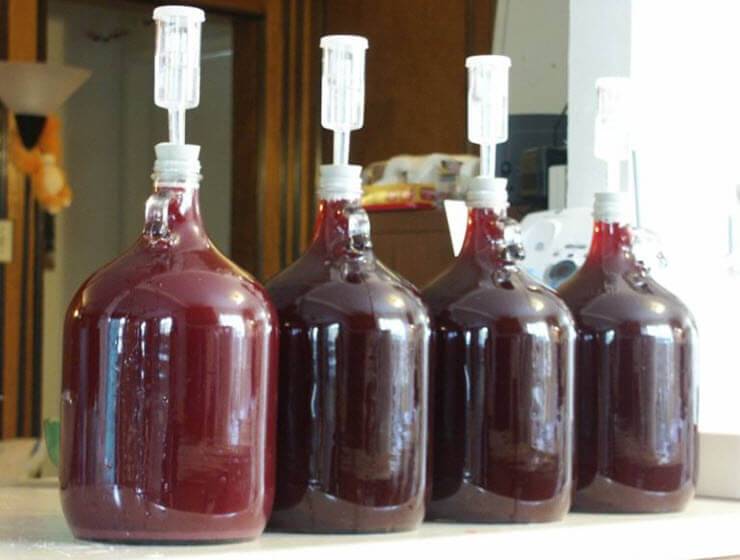 Вино из черники в домашних условиях: рецепт с закваской