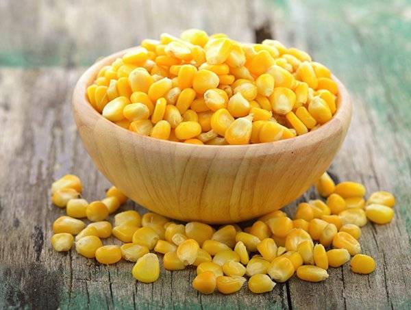 Кукуруза: польза и вред для здоровья и организма, витамины в кукурузе
