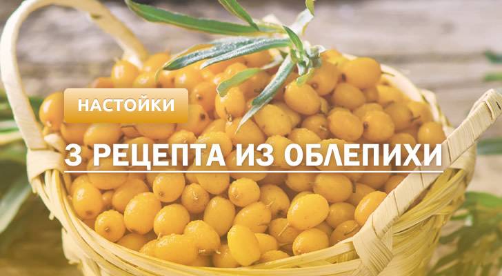 Настойка из облепихи в домашних условиях – невероятно полезно. настойки из облепихи в домашних условиях на спирту, водке, самогоне - автор екатерина данилова - журнал женское мнение