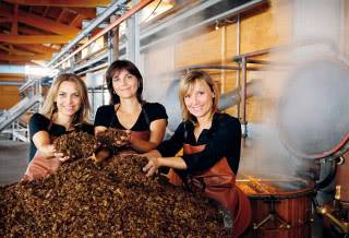 Как приготовить граппу в домашних условиях: коротко и ясно