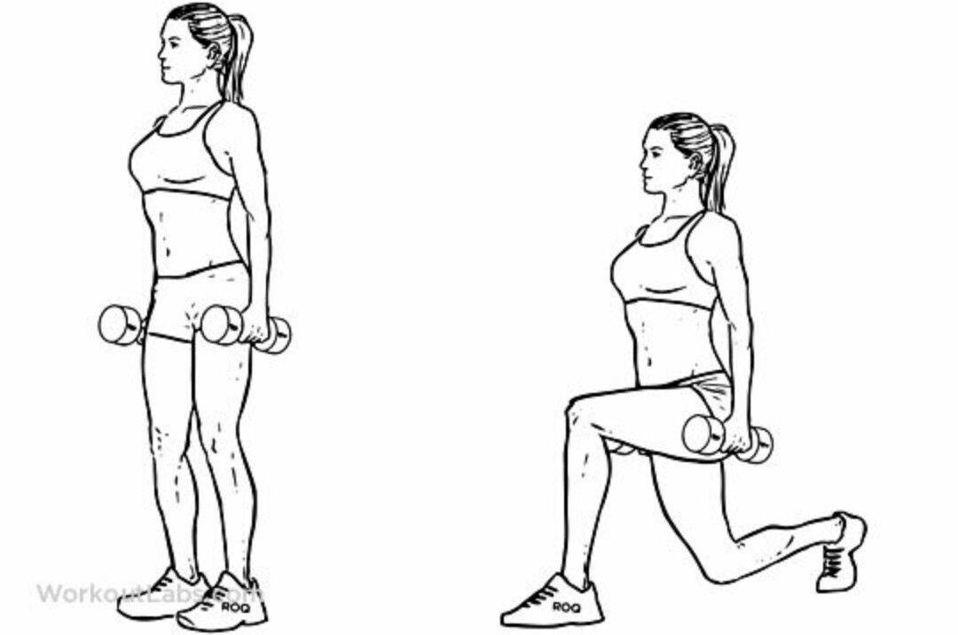 Выпады с гантелями: техника выполнения, какие мышцы работают, виды выпадов