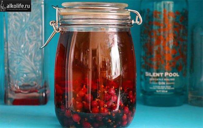 Черносмородиновый ликер — самые вкусные пошаговые рецепты. советы, как приготовить ликер на черной смородине в домашних условиях!