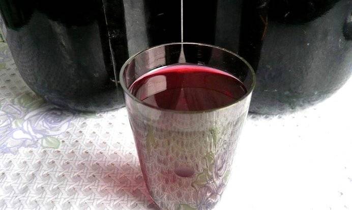 Наливка из черноплодки: 6 рецептов в домашних условиях