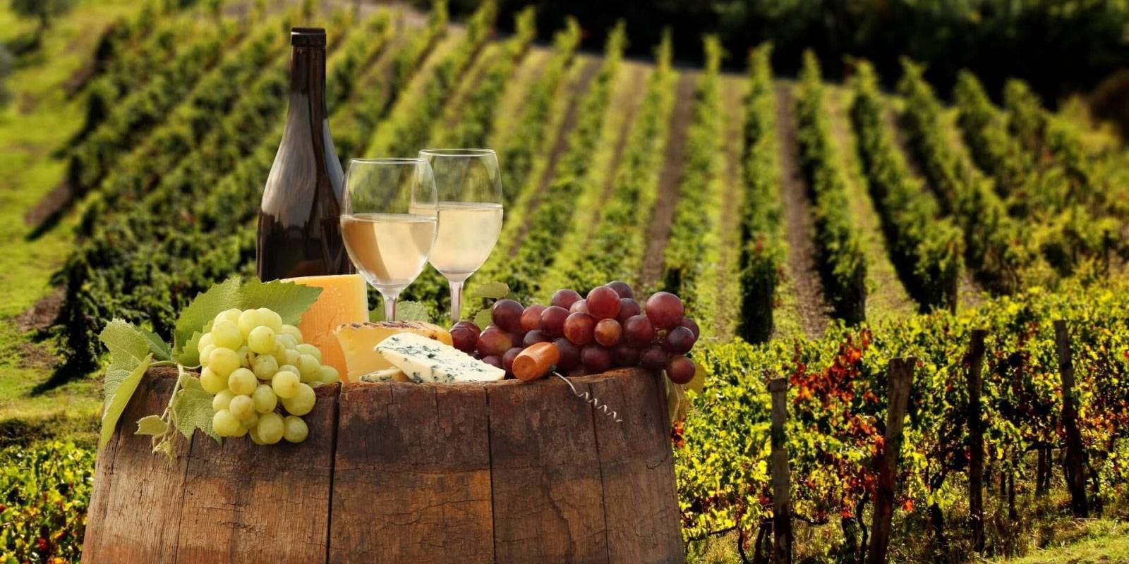 Вина германии: история, классификация, лучшие производители