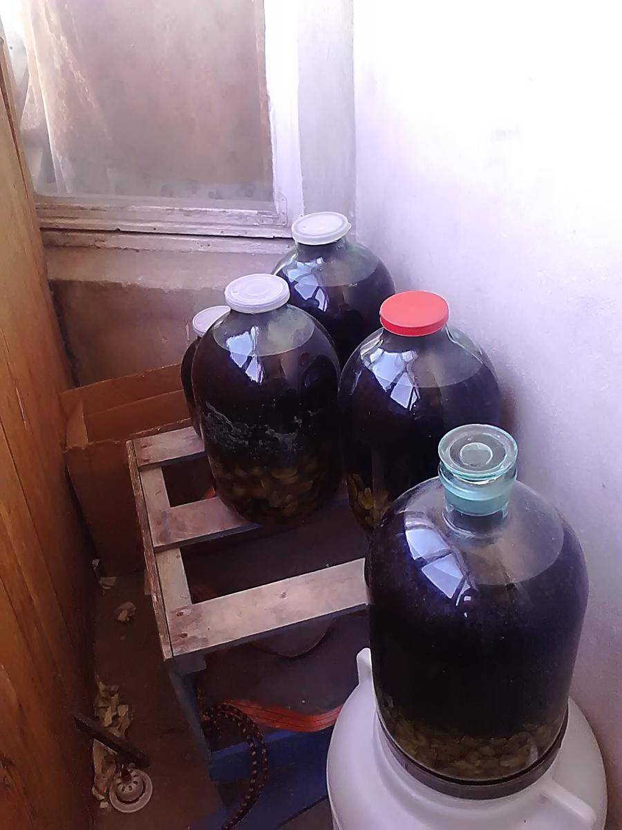 Рецепты браги для самогона в домашних условиях — 20 лучших способа приготовления