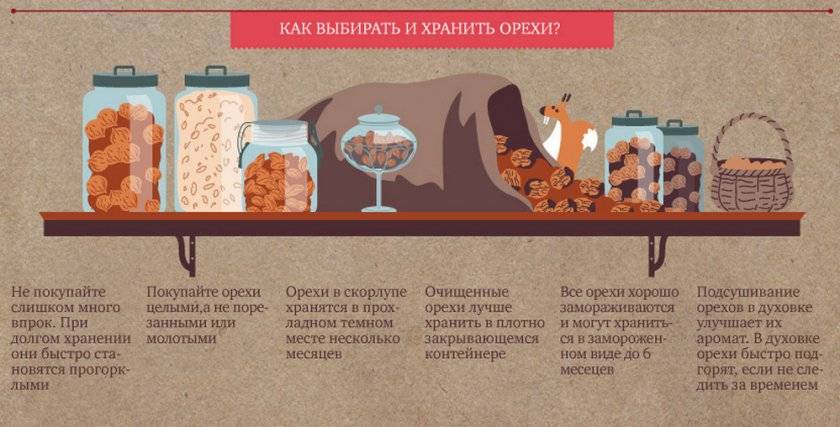 Кедровая настойка: польза и вред, рецепты, применение, отзывы