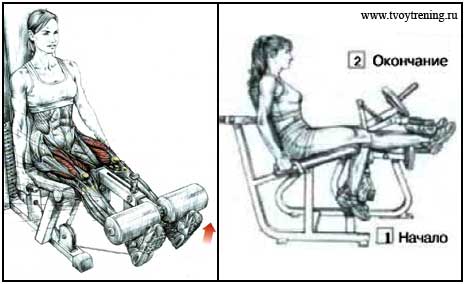 Техника выполнения сведения рук в тренажере, разновидности упражнения